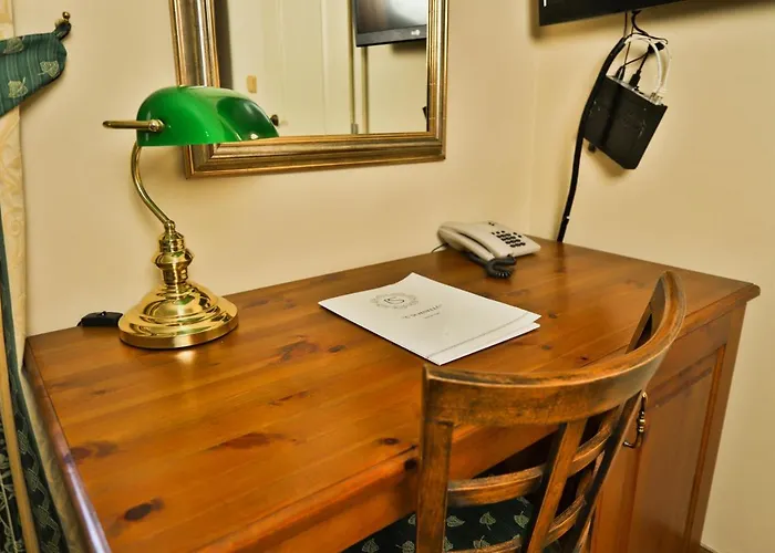 فندق U Schnellu 3*